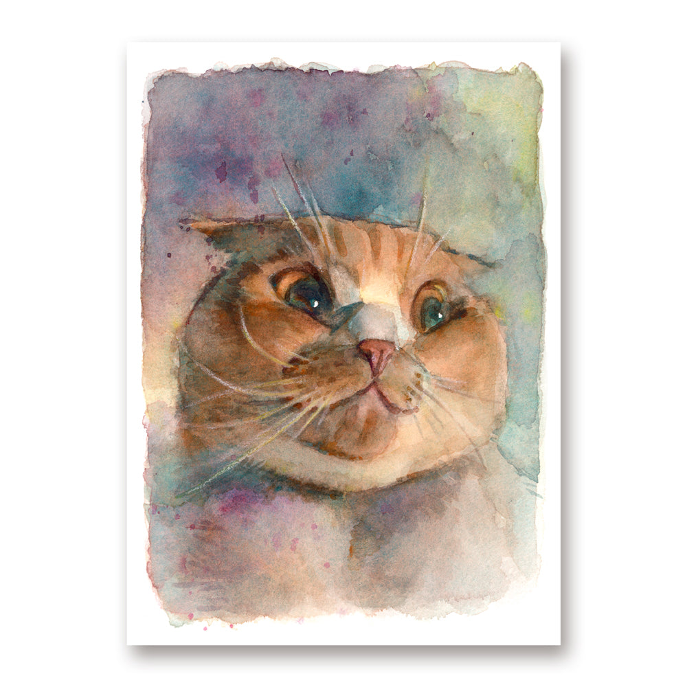 Scottish Fold Mini Print – Chris Hong Art